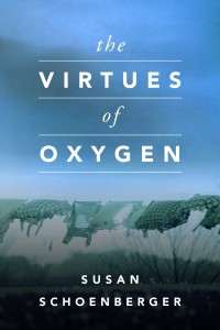 The Virtues of Oxygen